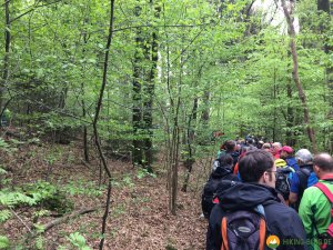 Bergische-50-2018-03