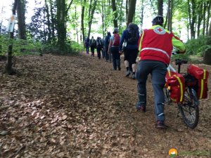 Bergische-50-2018-05