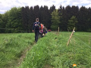 Bergische-50-2018-11