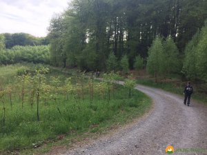Bergische-50-2018-25