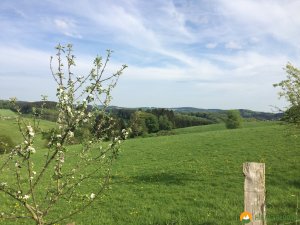Bergische-50-2018-26