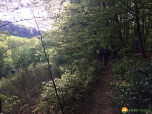 Bergische-50-2018-28