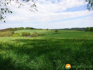 Bergische-50-2018-36