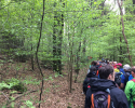 Bergische-50-2018-03