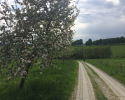 Bergische-50-2018-23