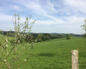 Bergische-50-2018-26