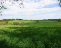 Bergische-50-2018-36