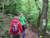 Bloggerwandern-RLP-2015-05.jpg