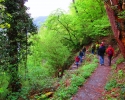 Bloggerwandern-RLP-2015-16.jpg