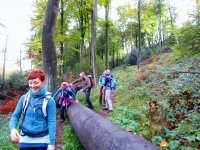 Bloggerwanderung_Isenburg_03