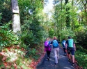 Bloggerwanderung_Isenburg_05