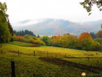 Bloggerwanderung-Lahnhoehen-04
