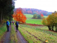 Bloggerwanderung-Lahnhoehen-13