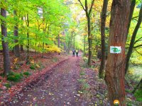 Bloggerwanderung-Lahnhoehen-16
