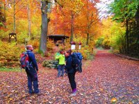 Bloggerwanderung-Lahnhoehen-22