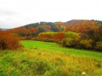 Bloggerwanderung-Lahnhoehen-23
