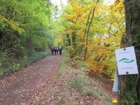 Bloggerwanderung-Lahnhoehen-03