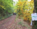 Bloggerwanderung-Lahnhoehen-03