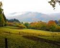 Bloggerwanderung-Lahnhoehen-04