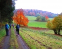 Bloggerwanderung-Lahnhoehen-13