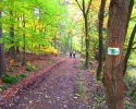 Bloggerwanderung-Lahnhoehen-16