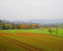 Bloggerwanderung-Lahnhoehen-17