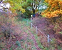 Bloggerwanderung-Lahnhoehen-18