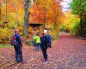 Bloggerwanderung-Lahnhoehen-22