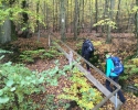 Bloggerwanderung-Lahnhoehen-25