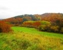Bloggerwanderung-Lahnhoehen-23