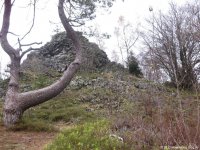 bloggerwanderung_rhoen_tag1_05