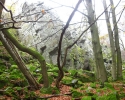 bloggerwanderung_rhoen_tag1_08