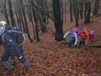 bloggerwanderung_rhoen_tag2_03