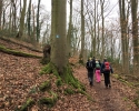 Bloggerwanderung-Siebengebirge-06