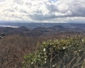 Bloggerwanderung-Siebengebirge-12