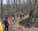 Bloggerwanderung-Siebengebirge-16