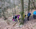 Bloggerwanderung-Siebengebirge-19