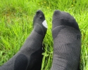 CEP-Outdoor-Merino-Mid-Cut-Socks-14