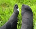 CEP-Outdoor-Merino-Mid-Cut-Socks-14