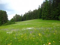 kipfen_anka_pegnitztal02