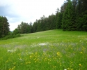 kipfen_anka_pegnitztal02