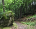 kipfen_anka_pegnitztal04