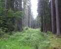 kipfen_anka_pegnitztal05