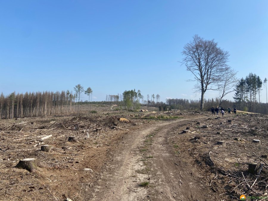 Ecosia_03