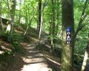 img_2396