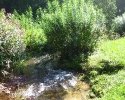 img_2404