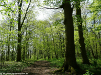 03_e1-wanderwege-nrw