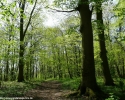 03_e1-wanderwege-nrw