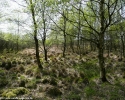 15_e1-wanderwege-nrw