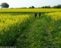 02_e1-wanderwege-nrw